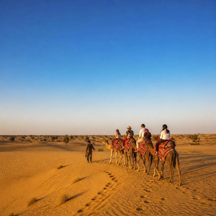 9 Nights 10 Days Rajasthan Tour